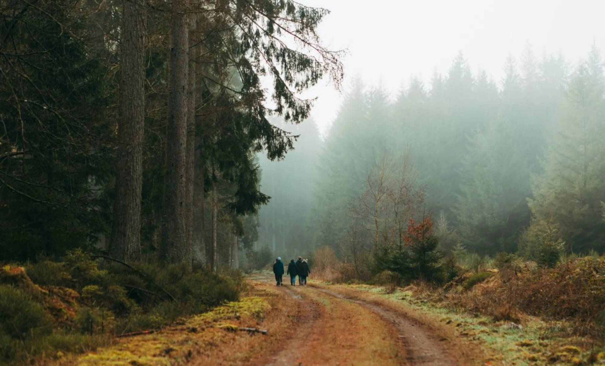 Samen een blokje om, wandeling met mantelzorgers